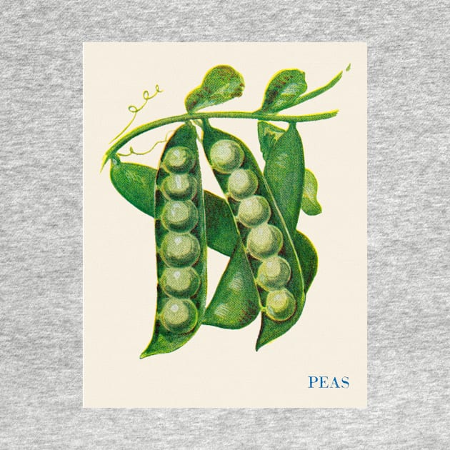 Illustration of Peas (1915) by WAITE-SMITH VINTAGE ART